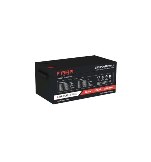Batteria X accumulo solare 200Ah 12V Litio Ferro Fosfato (LiFe-Po4) Faam 2000 con scarica DOD 80% BMS Batteria X accumulo solare 200Ah 12V Litio Ferro Fosfato (LiFe-Po4) Faam 2000 con scarica DOD 80% BMS