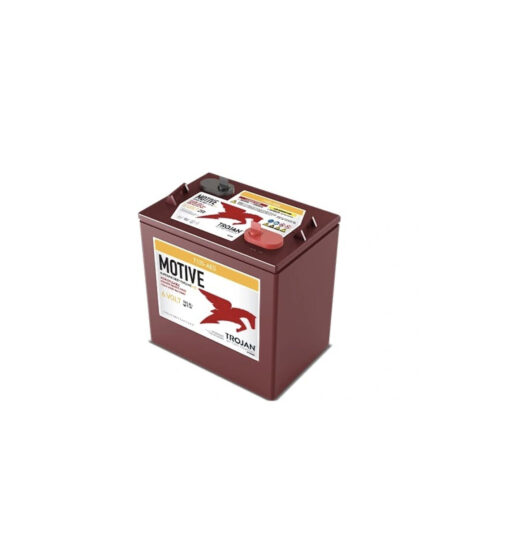 Batteria AGM T105-AES da 6 V