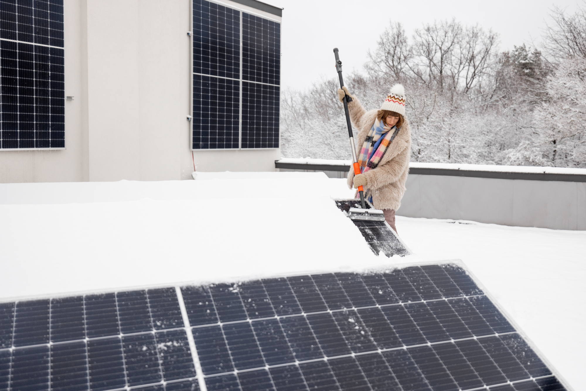 woman cleans solar panels from snow 2023 11 27 05 37 00 utc